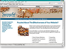 Successful Sites