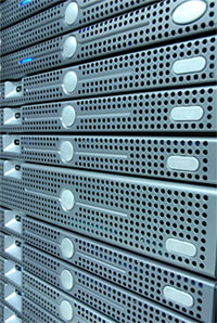 Web Hosting Server